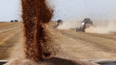 Photo of Как заработать на биржевых торгах